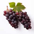 Red grapes close-up. (AI Generated) Art Print